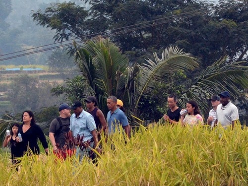 The Amazing JATILUWIH RICE TERRACES: Beauty and Bali’s Local Genius