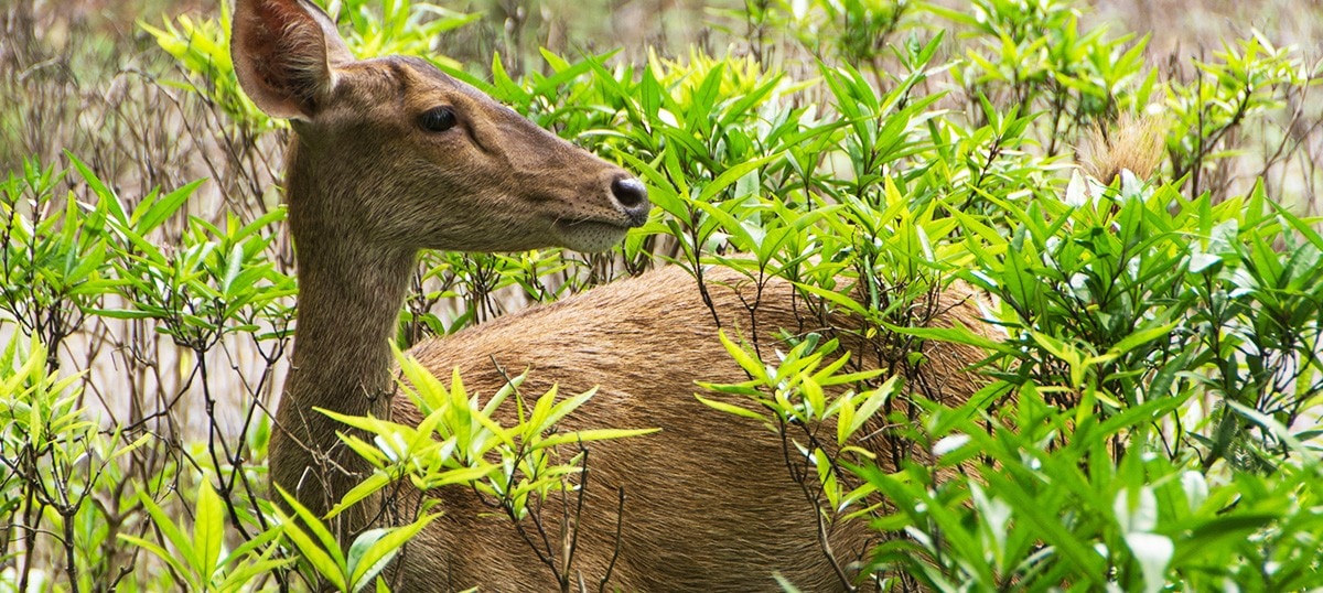서발리 국립 공원