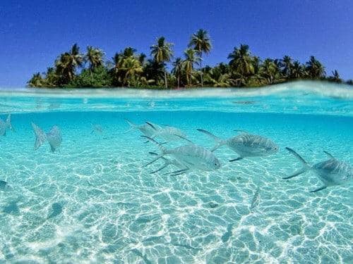 モロタイアイランド