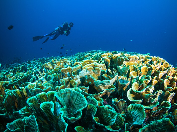 The Stunning Taka Bonerate National Park